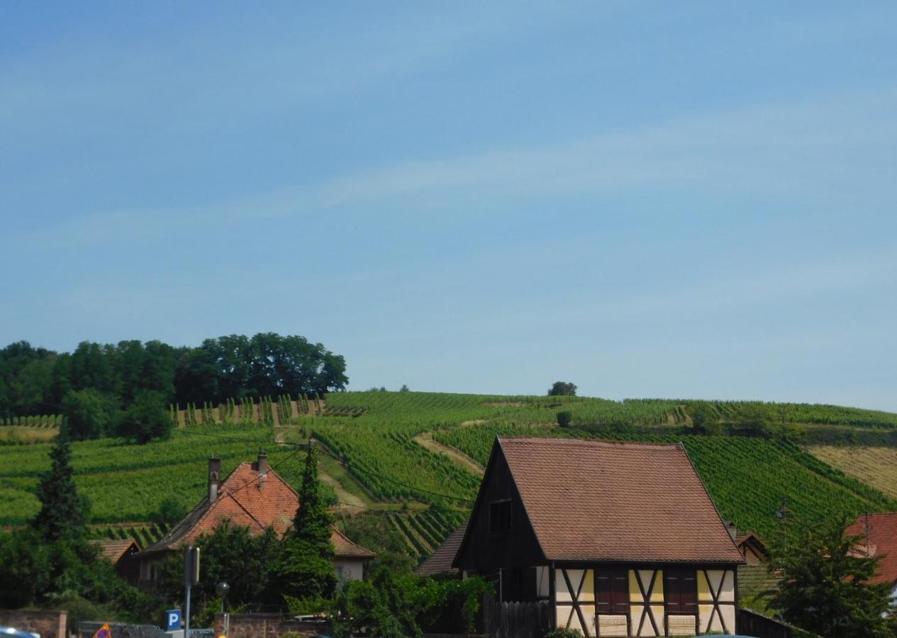 Gewurztraminer - Studio Au Pied Du Vignoble - Renove Recemment - Parking Gratuit Riquewihr Eksteriør billede