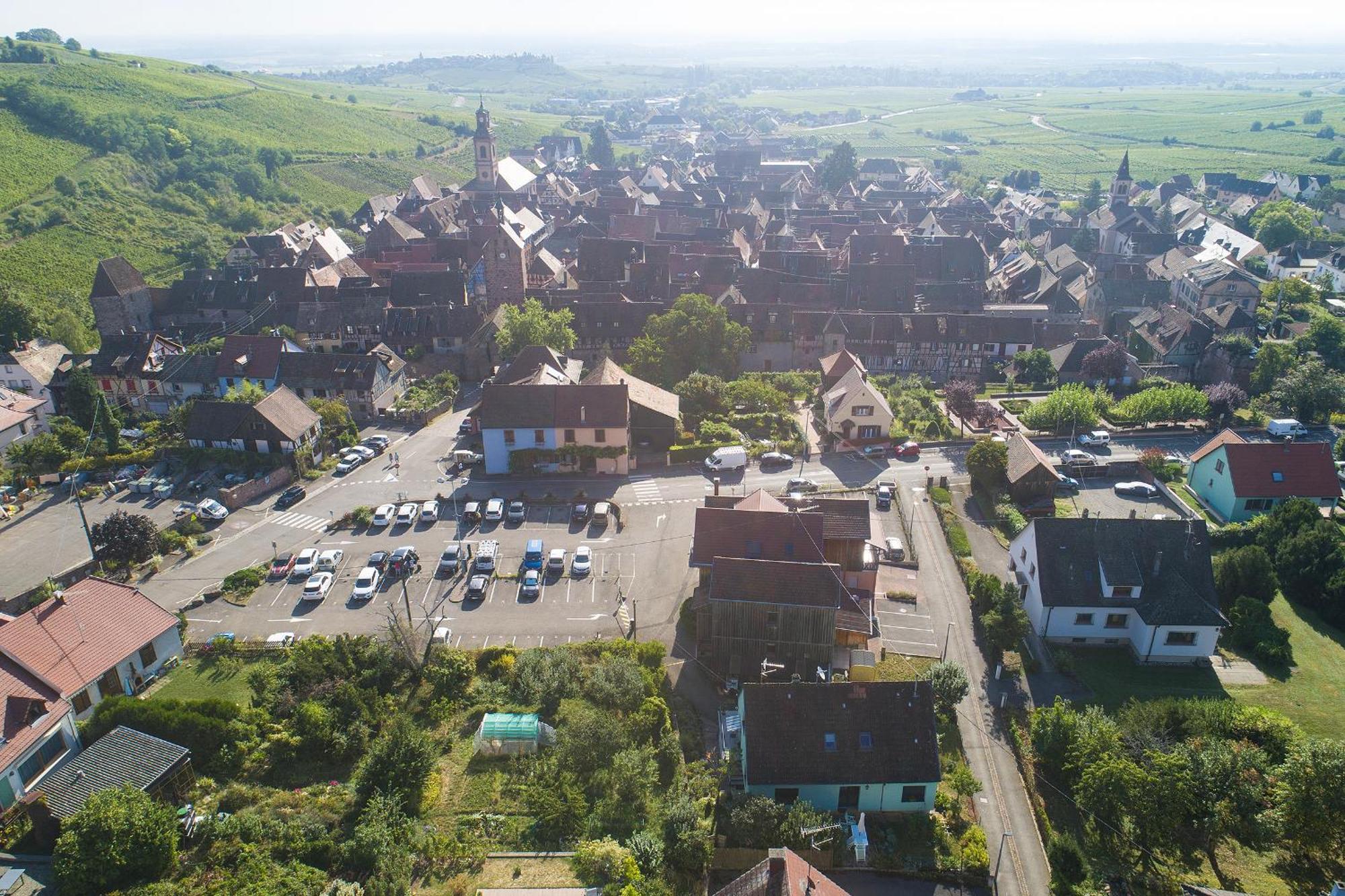 Gewurztraminer - Studio Au Pied Du Vignoble - Renove Recemment - Parking Gratuit Riquewihr Eksteriør billede